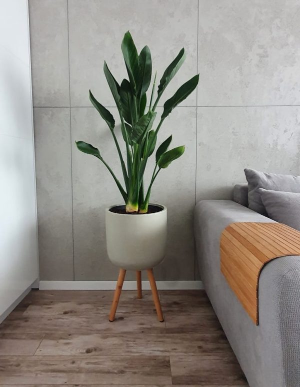 Donica Ecolite retro