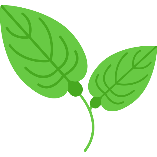 Anthurium sklep internetowy uroslo.pl