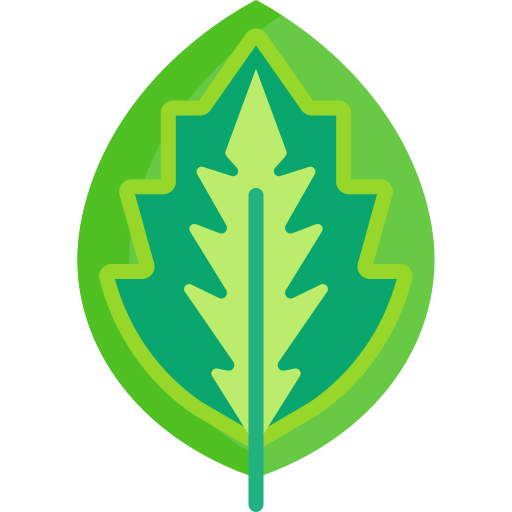 Calathea