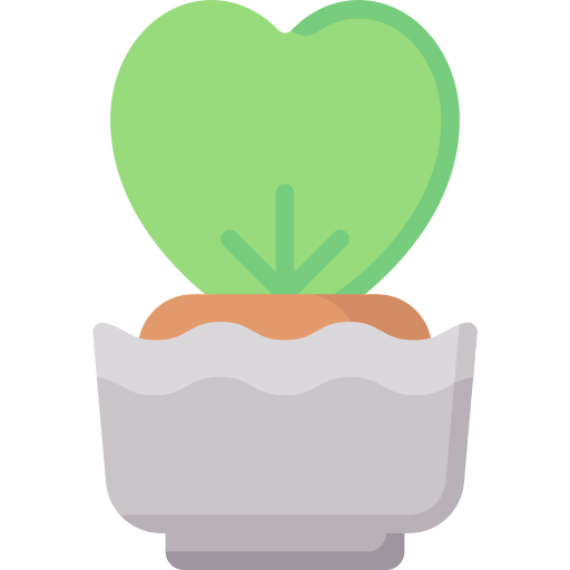 Hoya