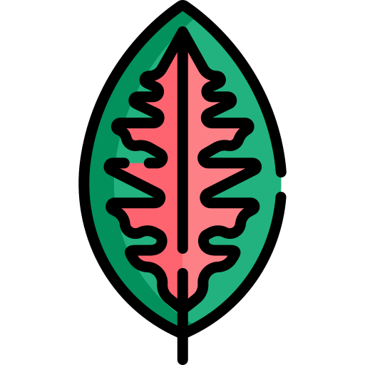 Aglaonema