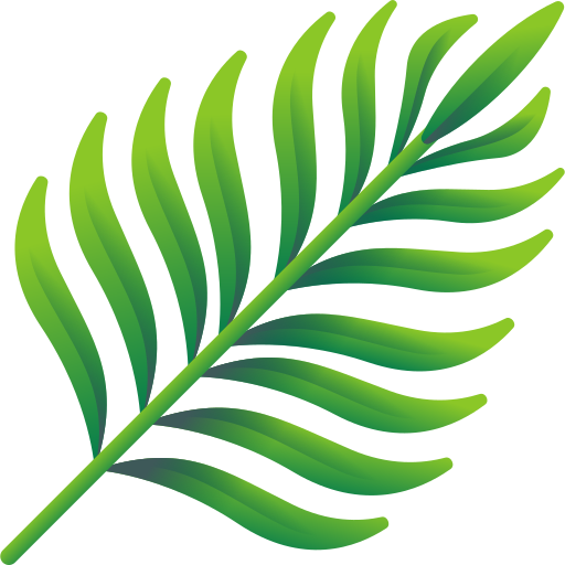 Palmy