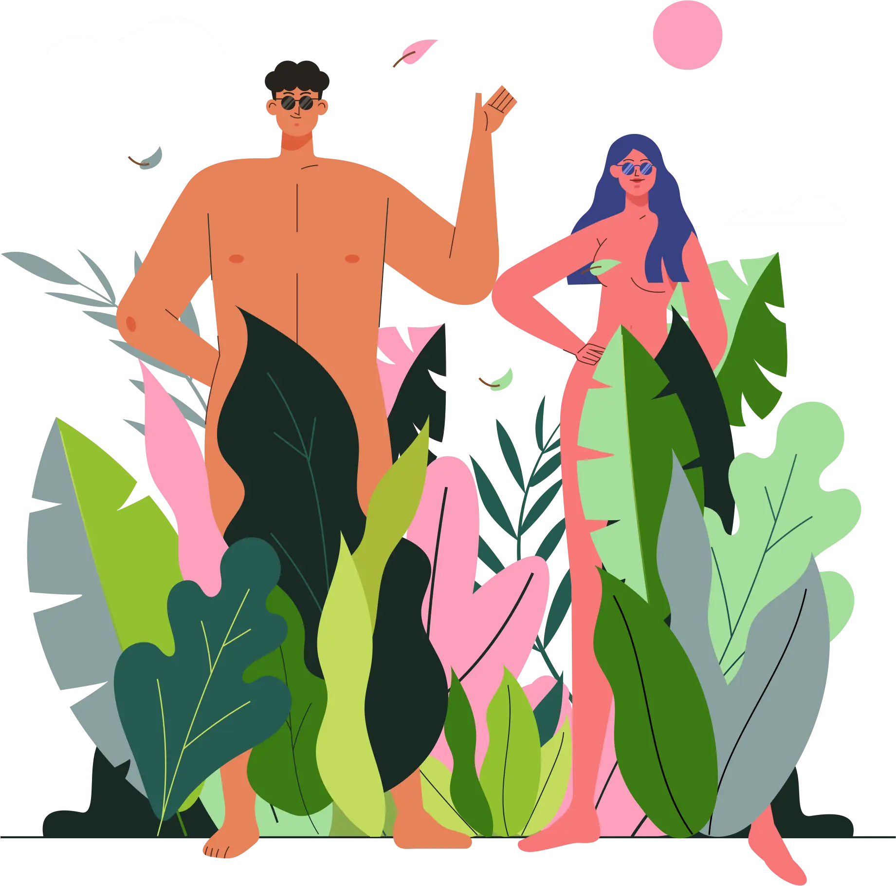 Rośliny doniczkowe - sklep internetowy, podcast o roślinach, biologia